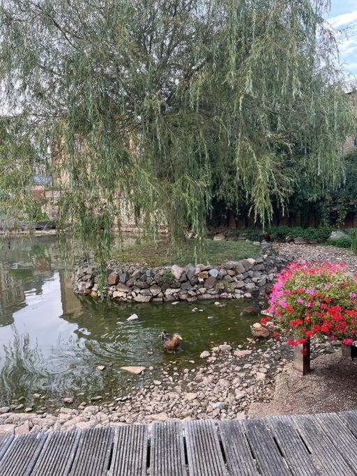 La Maison Du Perche Avec Jacuzzi Saint-Martin-des-Pezerits Εξωτερικό φωτογραφία